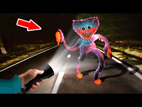 5 Huggy Wuggy Reales Captados en Cámara en la Vida Real