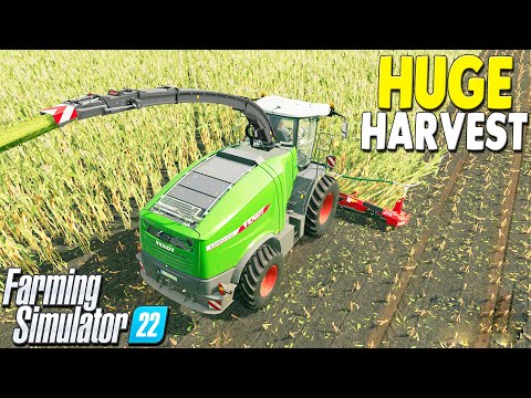 BIGGEST HARVEST YET – FUL SCALE CREW HARVEST –  FARMING SIMULATOR 22 – Ultimate Farming Realism