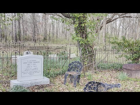 Champion Hill Battlefield