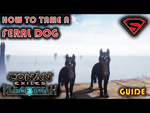 CONAN EXILES ISLE OF SIPTAH HOW TO GET FERAL DOG PETS