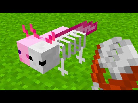 cortei o AXOLOTE para VER O QUE TEM DENTRO DELE no minecraft