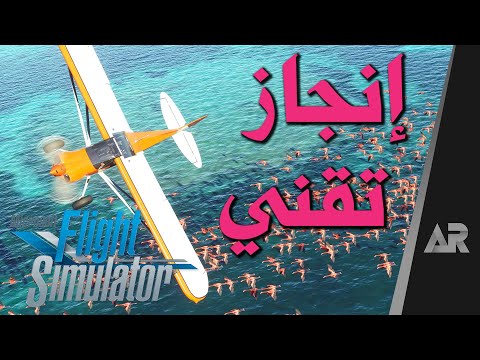 مراجعة Microsoft Flight Simulator