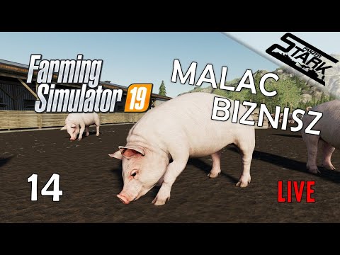 Farming Simulator 19 – 14.Rész (Veszünk Disznókat) – Stark LIVE