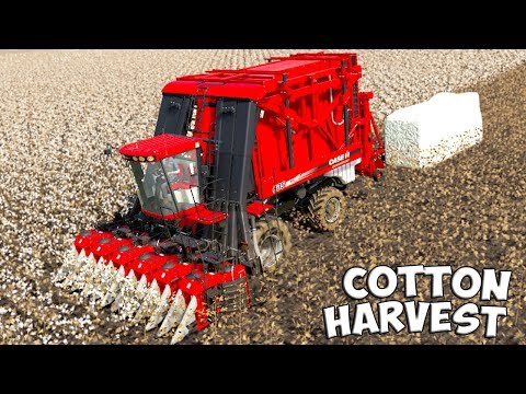 Farming Simulator 19 | COTTON PICKER – CASE IH MODULE EXPRESS 635!