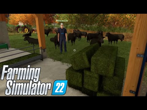 FARMING SIMULATOR 22 ELM CREEK #17 – LE PRIME 25 PECORE! @Miticaccio – GAMEPLAY ITA
