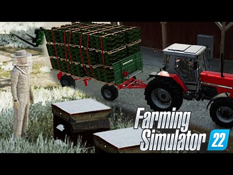 FARMING SIMULATOR 22 ELM CREEK #6 – API, SILO SEMI E VENDIAMO LATTUGA – GAMEPLAY ITA