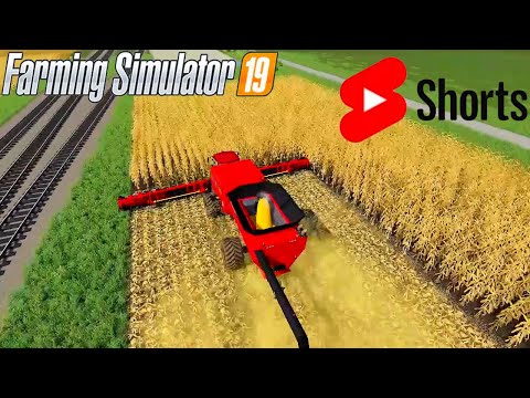 Harvesting Corn in Nebraska | Farming Simulator 19 | #Shorts Series #62