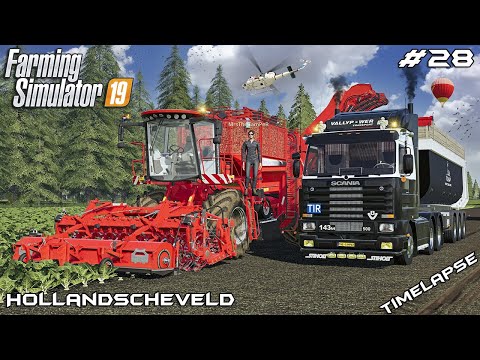 Harvesting SUGARBEET w/MrsTheCamPeR | Animals on Hollandscheveld | Farming Simulator 19 | Episode 28