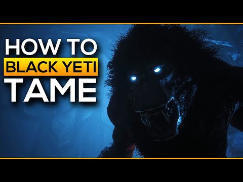 How To Tame Black Yeti | Conan Exiles