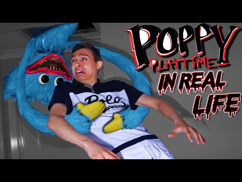 HUGGY WUGGY BROKE INTO OUR HOUSE!! 😱 (Poppy playtime in real life!)