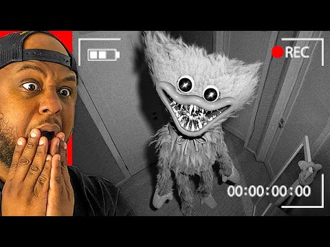 HUGGY WUGGY SEEN in REAL LIFE !! (Poppy Playtime Reaction)