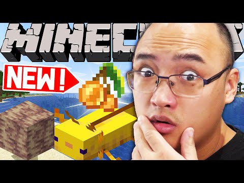 J'AI TROUVÉ TROP DE NOUVEAUX ITEMS SUR MINECRAFT !