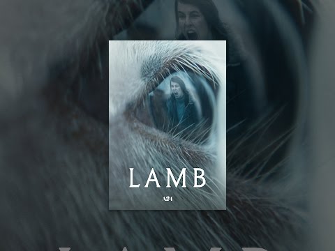 Lamb