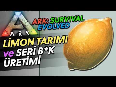 Limon, Havuç ve BOK – ARK SURVIVAL EVOLVED – Bölüm 52 – GeForceNow