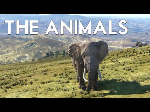Microsoft Flight Simulator 2020 – ANIMALS and Wildlife