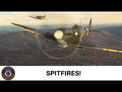 Microsoft Flight Simulator Multiplayer – Spitfires! – FlyingIron  L.F Mk IXc & Aeroplane Heaven MkIa