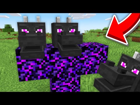 Minecraft, But I Added Custom Bosses…
