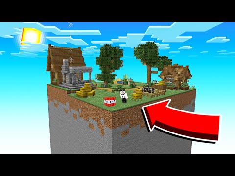 Minecraft Intr-un Singur Chunk