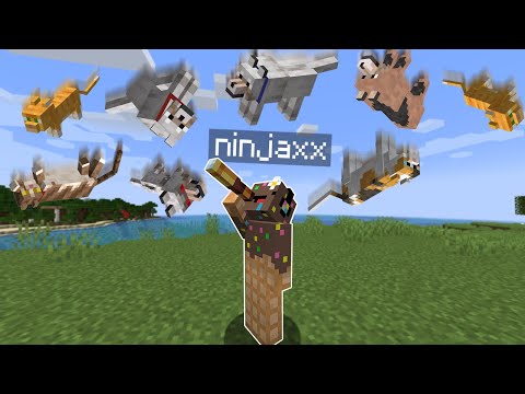 Minecraft mais il pleut des Chiens et des Chats.. (wtf)