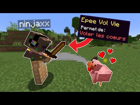 Minecraft mais je vole la Vie des Mobs que je tue..