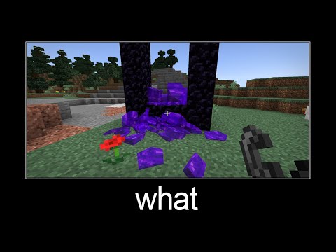 Minecraft wait what meme part 137 (shards of the portal)