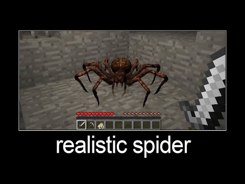 Minecraft wait what meme part 141 (realistic spider)