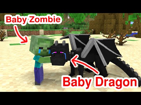 Monster School : Baby Dragon and Baby Zombie – Sad Story – Minecraft Animation