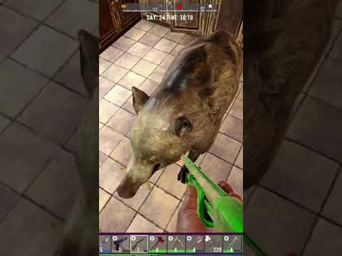 Not the Piggy!! | 7 Days To Die | #Shorts