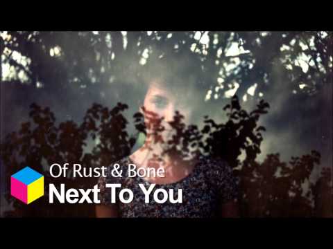 Of Rust & Bone – Next To You
