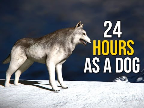 Playing As A Dog For 24 Hours – Space Engineers