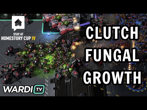 RIDICULOUS FUNGALS! – Serral vs ByuN (ZvT) – Stay At HomeStory Cup 4 [StarCraft 2]