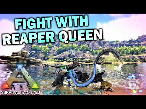 RON Had Intense Fight With Reaper Queen And Alpha Wyvern | ARK : Survival Evolved