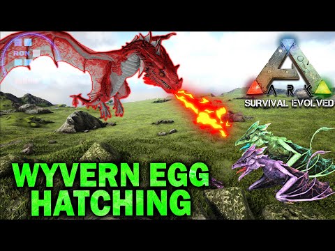 RON Hatches His First Lightening, Fire And Poisonous Wyverns At Once | ARK : Survival Evolved