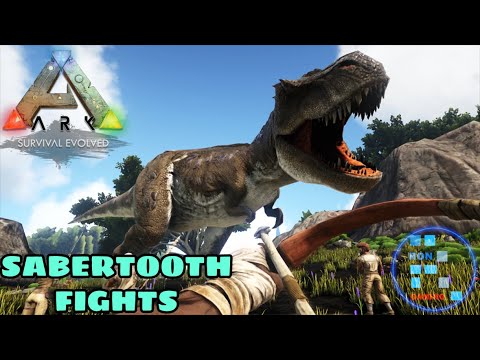 RON Hides From Fighting Sabertooth And The Lion – Funny Moments | ARK : Survival Evolved