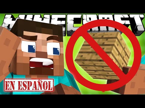 SI NO PUDIERAS CONSTRUIR EN MINECRAFT