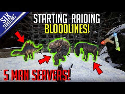 STARTING THE RAIDING BLOODLINES!  |  5-Man PvP Servers! – Ark: Survival Evolved