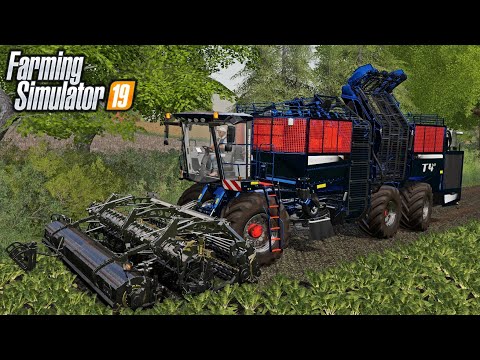 Sugar Beet Contract With Chrome Harvester! | Bucks Co – Farming Simulator 19