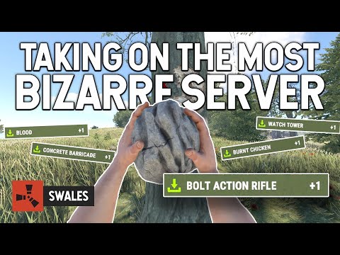 TAKING ON THE MOST BIZARRE SERVER – RUST
