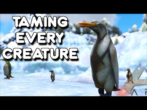 THE ICE COLD PENGUIN RESTAURANT | TAMING EVERY CREATURE | ARK SURVIVAL EVOLVED EP53