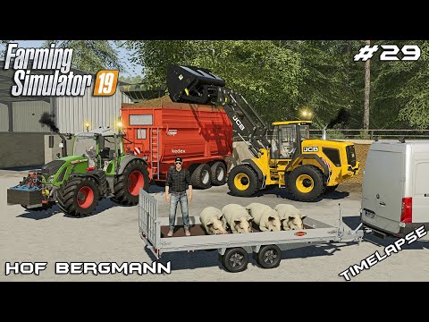 Transporting DEAD pigs & MANURE with @kedex world | Hof Bergmann | Farming Simulator 19 | Episode 29
