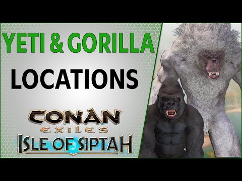 Where to get Yeti and Gorilla Pets Isle of Siptah | Conan Exiles 2021