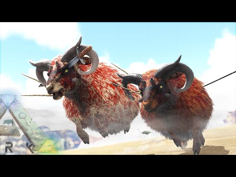 WHY ARE ZOMBIE SHEEP CHASING ME??? | DOX | ARK SURVIVAL EVOLVED EP26