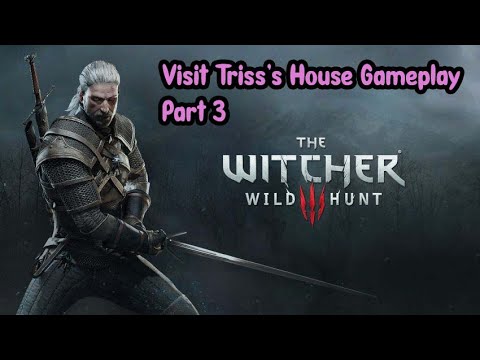#60 Let's Play The Witcher 3: Wild Hunt | Visit Triss's House Gameplay Part 3