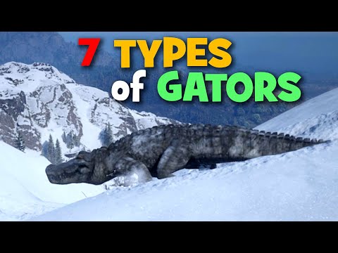 7 Types of Alligators in Red Dead Redemption 2
