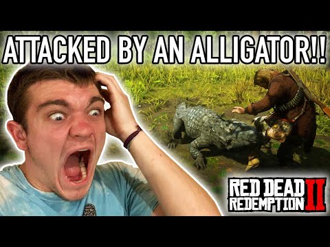 ATTACKED BY AN ALLIGATOR! Red Dead Redemption 2 Pt.27 – Kendall Gray