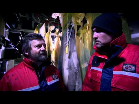 Beast Hunter – Sea Serpent of the North