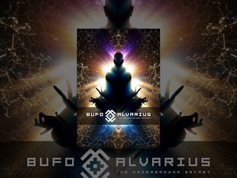 Bufo Alvarius – The Underground Secret