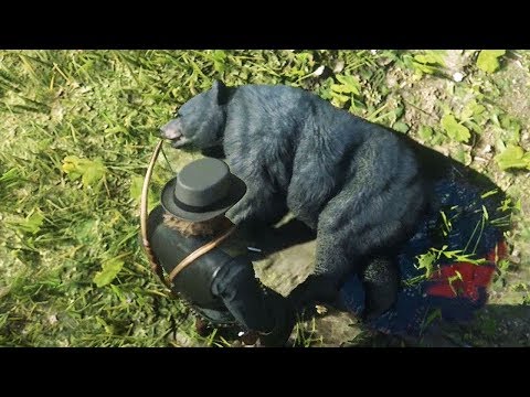 COMO ATRAPAR OSOS | RED DEAD REDEMPTION 2