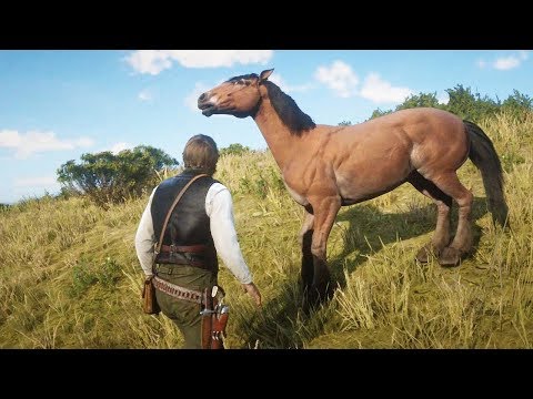 COMO DOMESTICAR CABALLOS | RED DEAD REDEMPTION 2