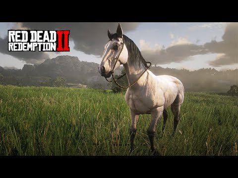 DOMANDO CAVALOS  e sobrevivendo no MUNDO ABERTO – Red Dead Redemption 2